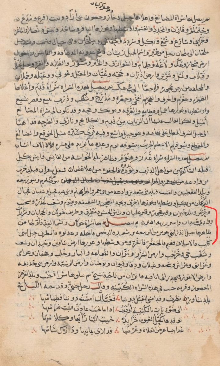 مغرق tweet media