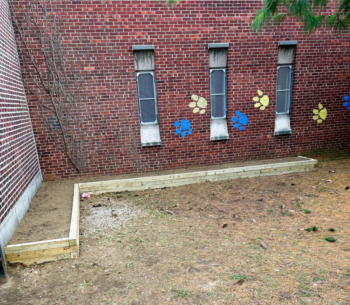 ParadigmSchools's tweet image. Across #APSchools, scholars are engaging with the environment through hands-on learning and outdoor experiences, including @lindleyacademy1's upcoming school garden.

These moments help build curiosity, responsibility, and a lasting appreciation for our planet.