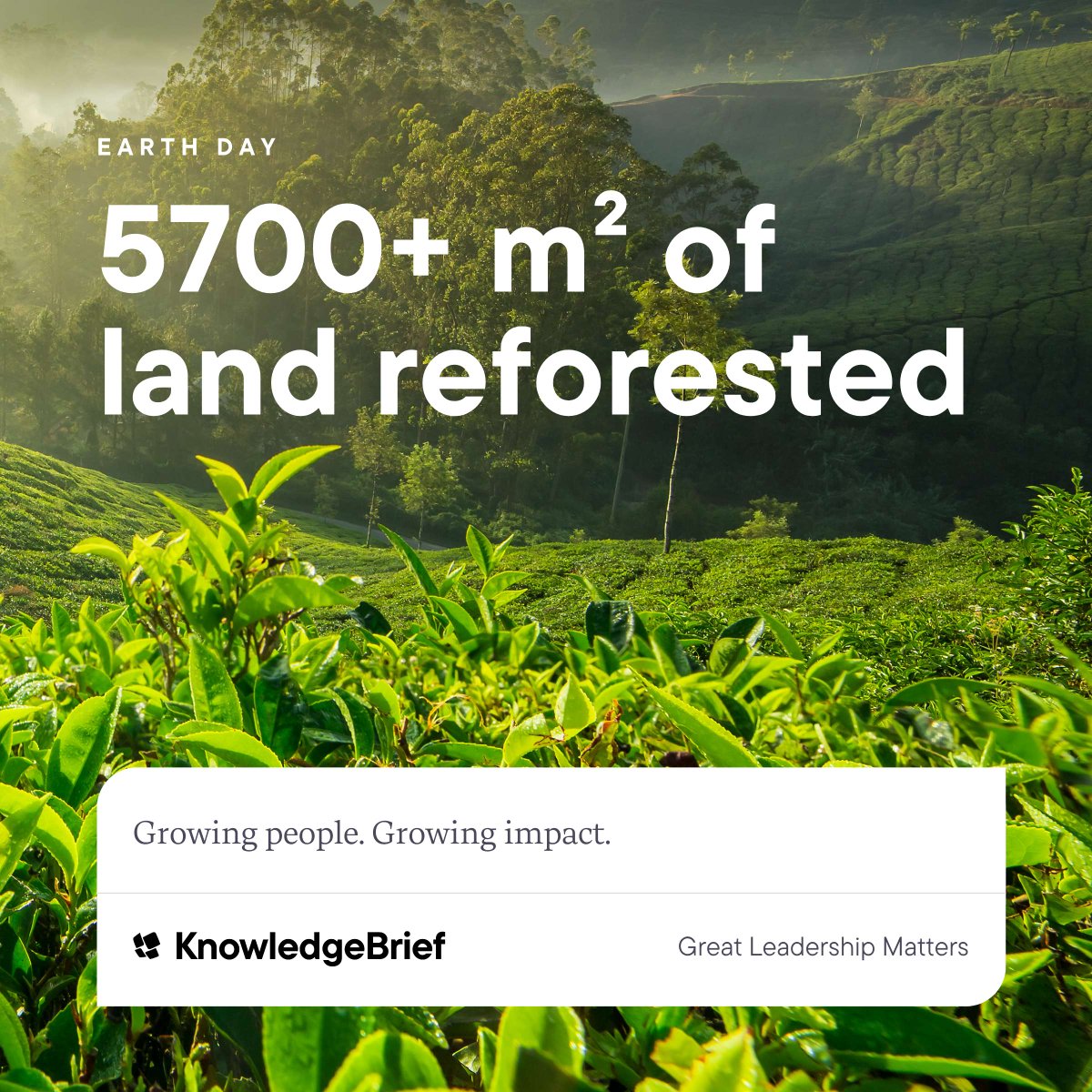KnowledgeBrief tweet media