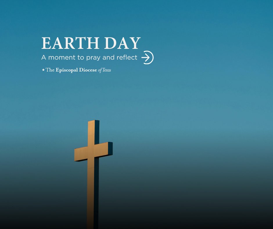 The Episcopal Diocese of Texas tweet media