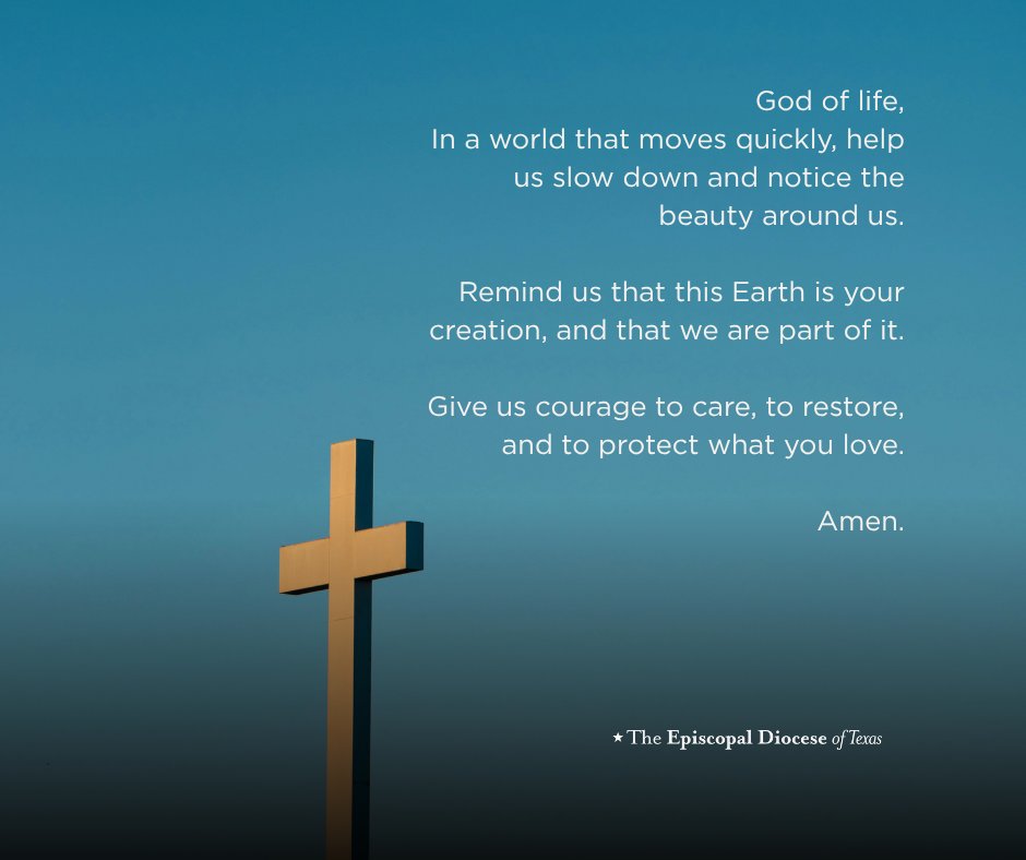 The Episcopal Diocese of Texas tweet media