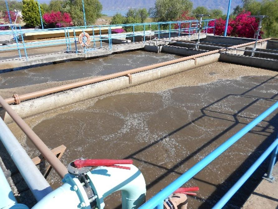 🧬 Resistencia a antibióticos: el problema está en el drenaje.
Investigadores del IIUNAM analizaron genes de resistencia antimicrobiana en plantas de tratamiento de México y Brasil.
Un dato que cambia cómo pensamos la salud pública. 🌎 goo.su/ktvzl