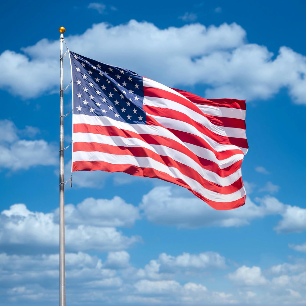 Whale Insider tweet media