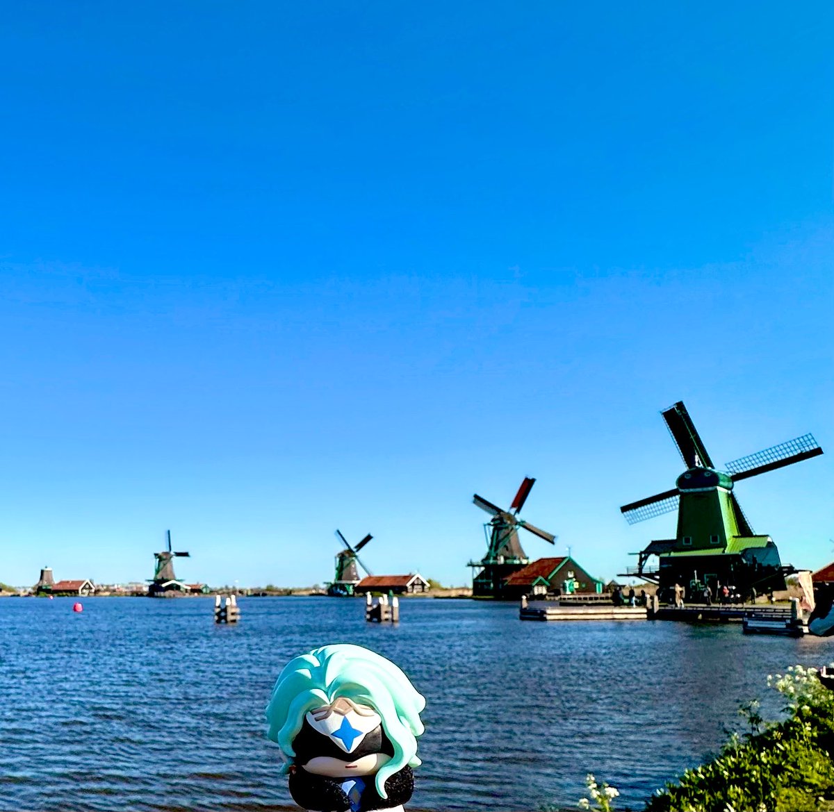 赤飯alchem tweet media