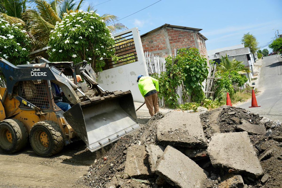 Marciana Valdivieso tweet media