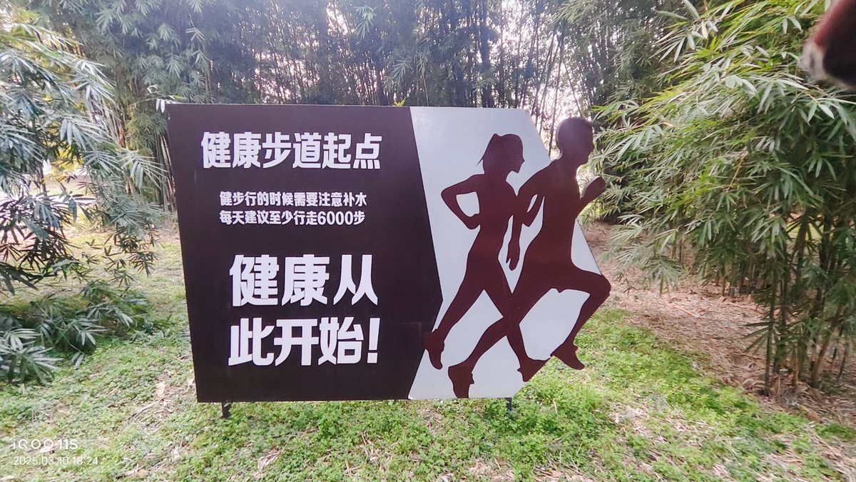 turker yasin ertan tweet media