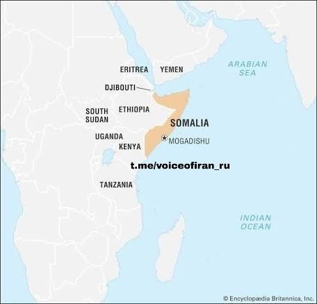 cvetko35 tweet media