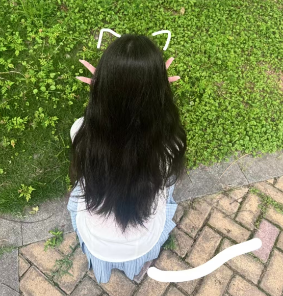 青涩提 tweet media