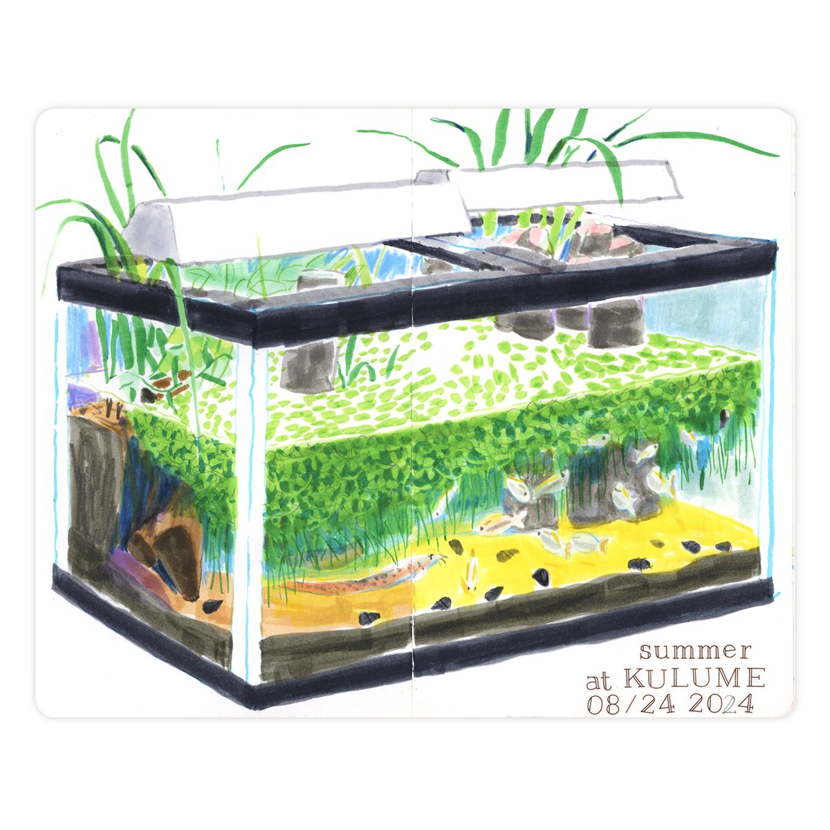 タケウマ tweet media