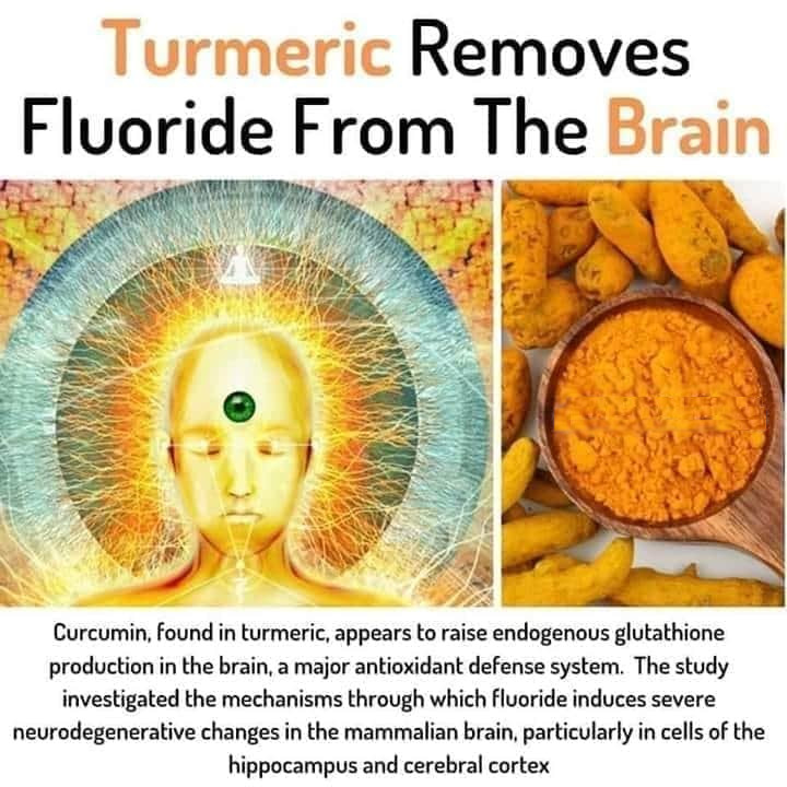 rabbitholebot tweet media