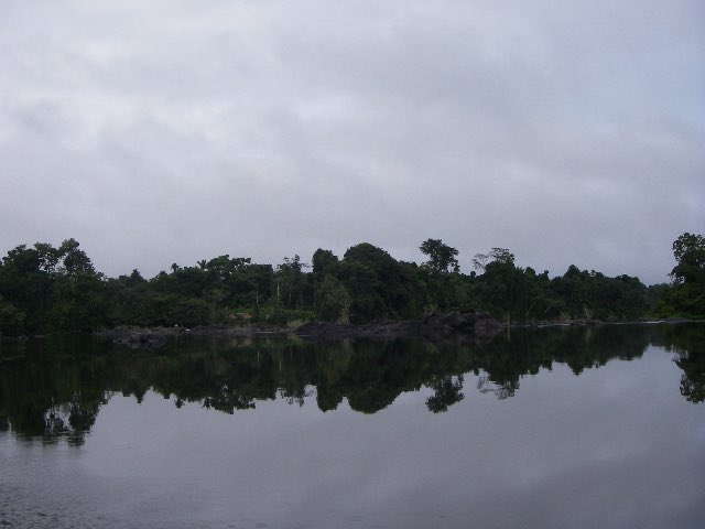 スリッシャーズアクアリウム tweet media