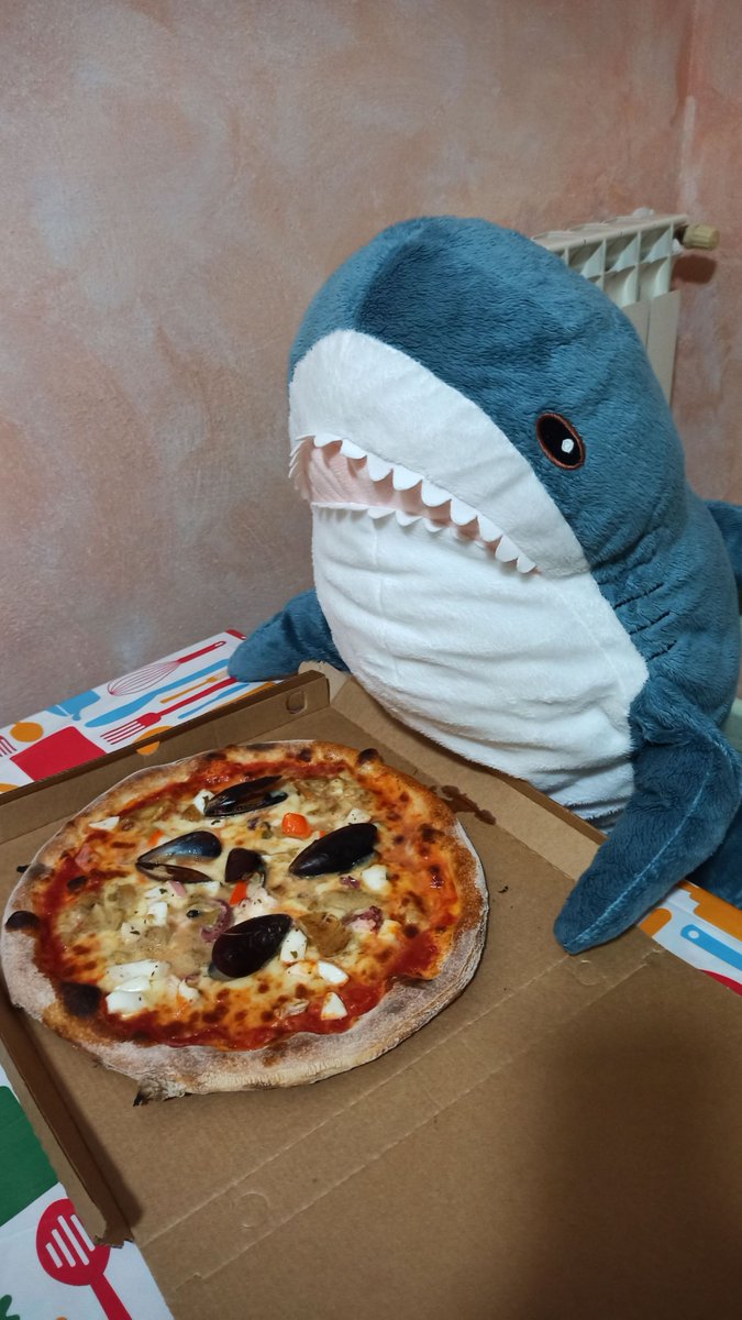 GiraffaV's tweet photo. The human surprised me with this pizza with seafood and porcini mushrooms!
I’m ready to taste it! 
Bon appétit!

#IKEAのサメ #ikeashark #stuffedtoy #blåhaj #brioches #italy #peluches #stuffedanimals #blahaj #homesweethome #lasagna #pizza #porcini #eat #bonappetit #seafood #food https://t.co/ZMuI3gwp7E