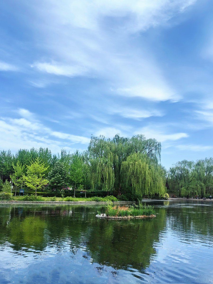 margaret james tweet media