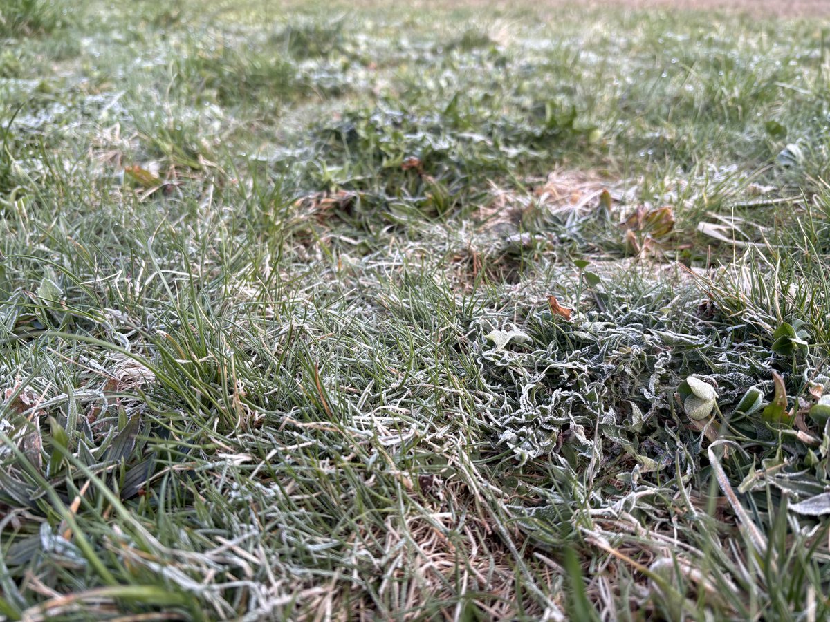 MUSCLE_BICYCLE/芦別クリテリウム2025実行委員長補佐 tweet media