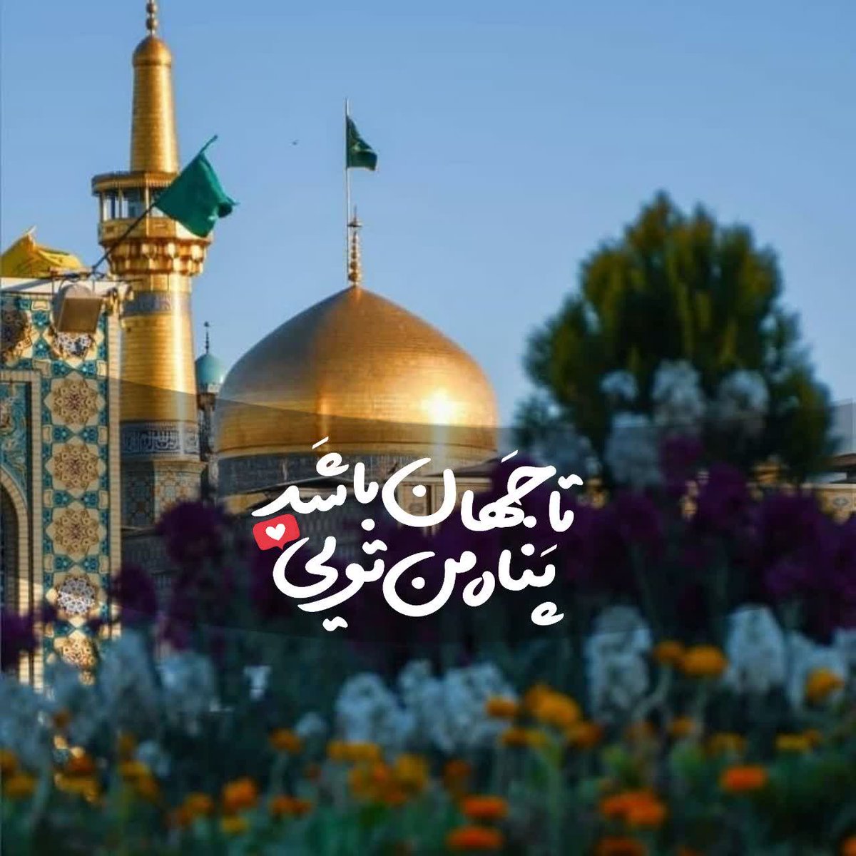 رهینة tweet media