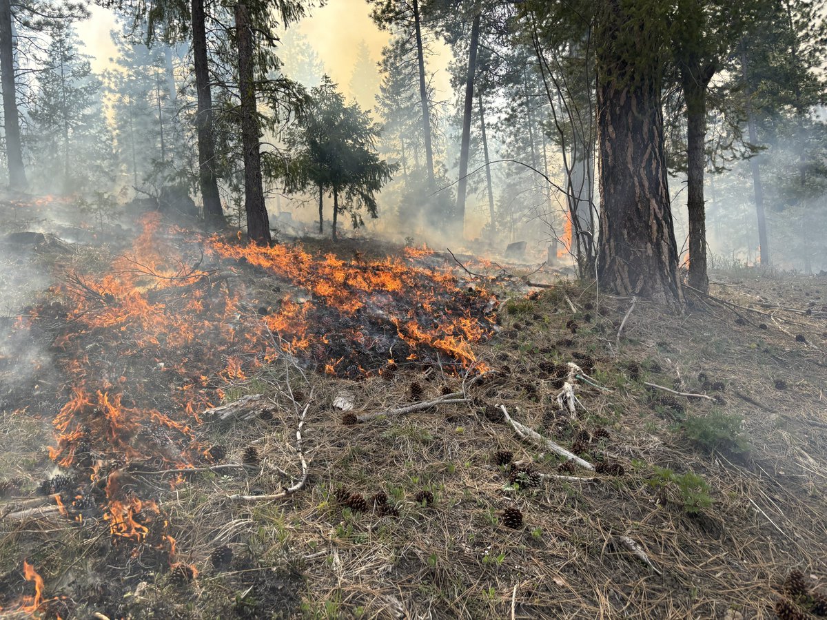 Washington DNR Prescribed Fire tweet media