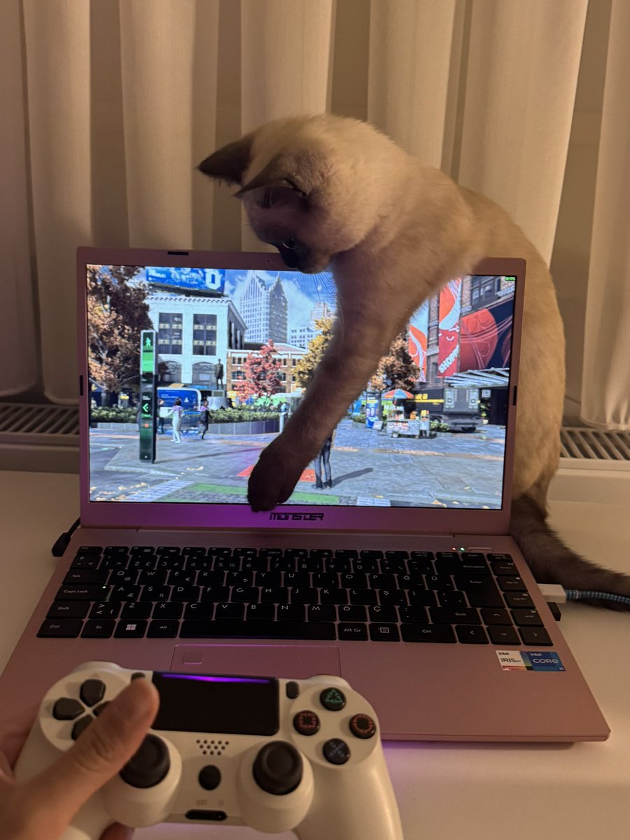 görkem tweet media