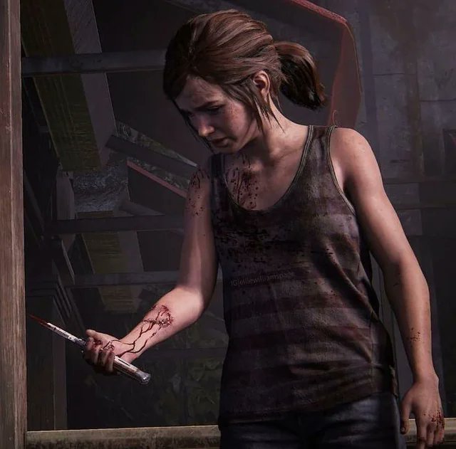 DomTheBomb tweet media