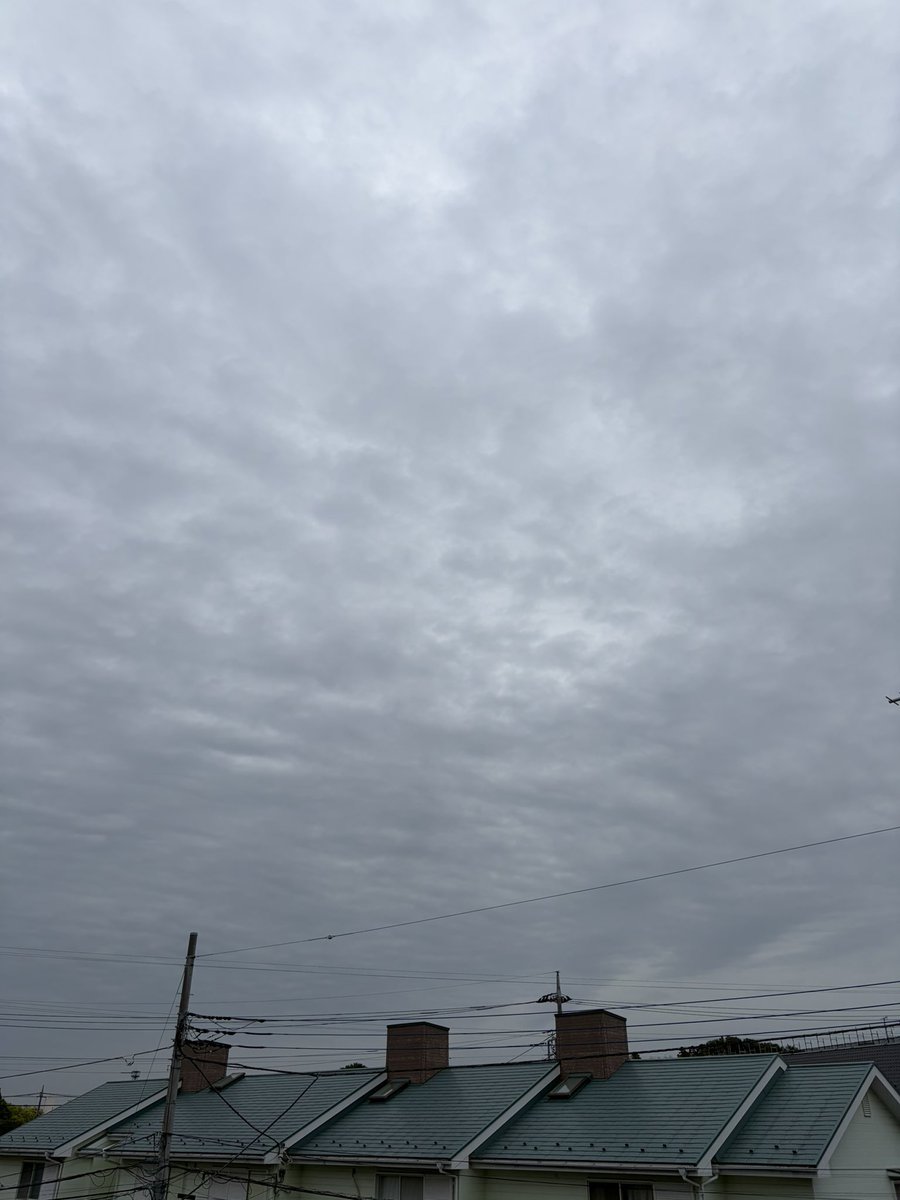 藤川一也 FUJIKAWA Kazuya tweet media