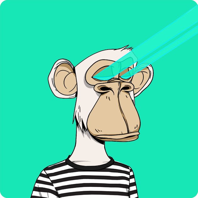 BATHINGBAYC tweet media