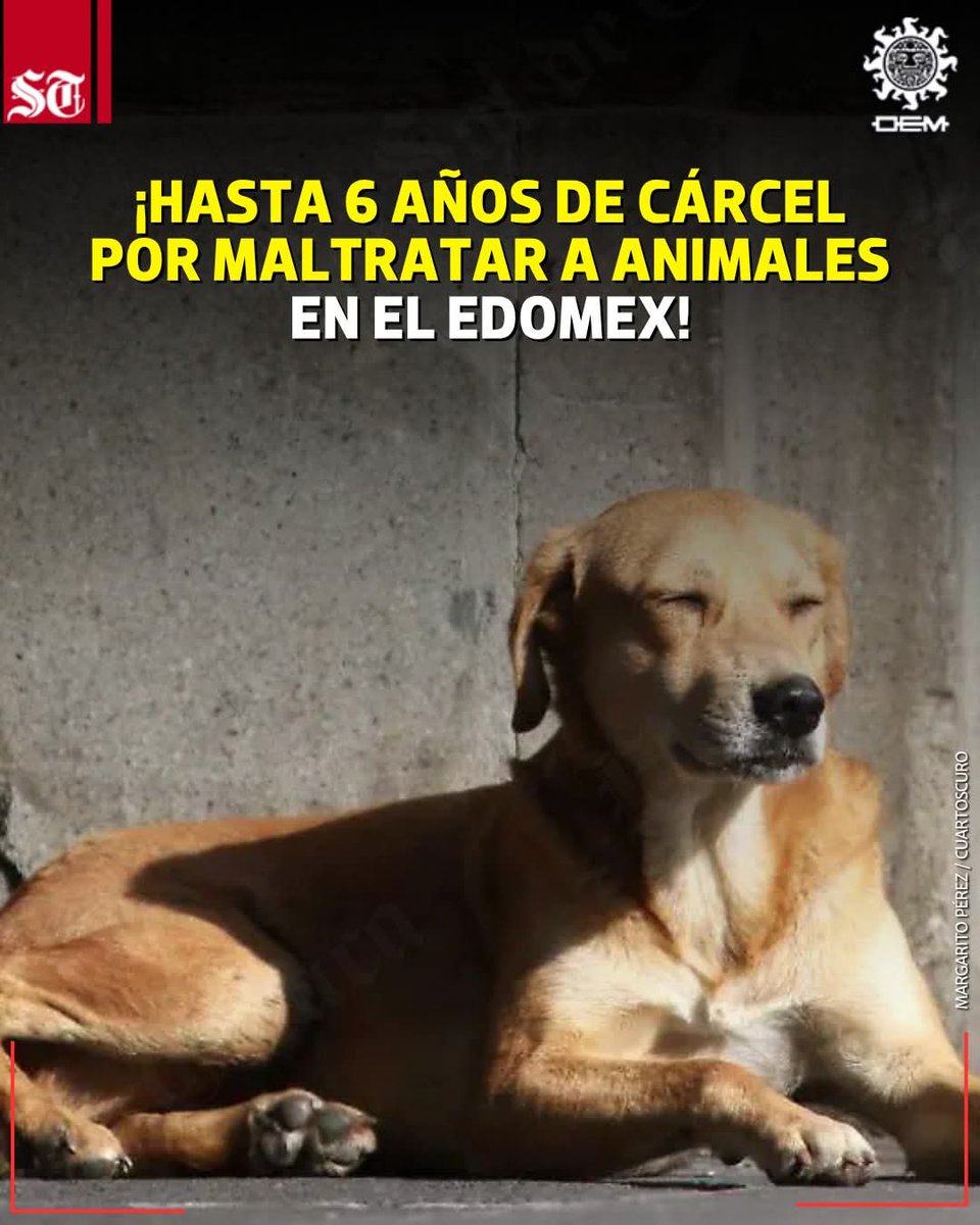 Sabueson tweet media