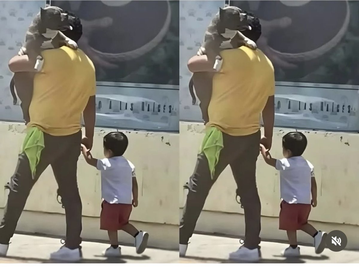 Alguma coisa está errada!!!
Após ser criticado por levar o cachorro no colo e não o filho, pai se defende:

"O chão está quente e meu cachorro não tem sapatos."

Você concorda?
