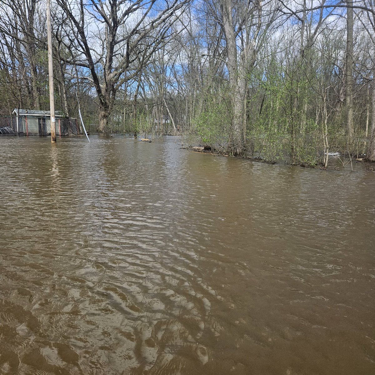 🦋 Nikki tweet media