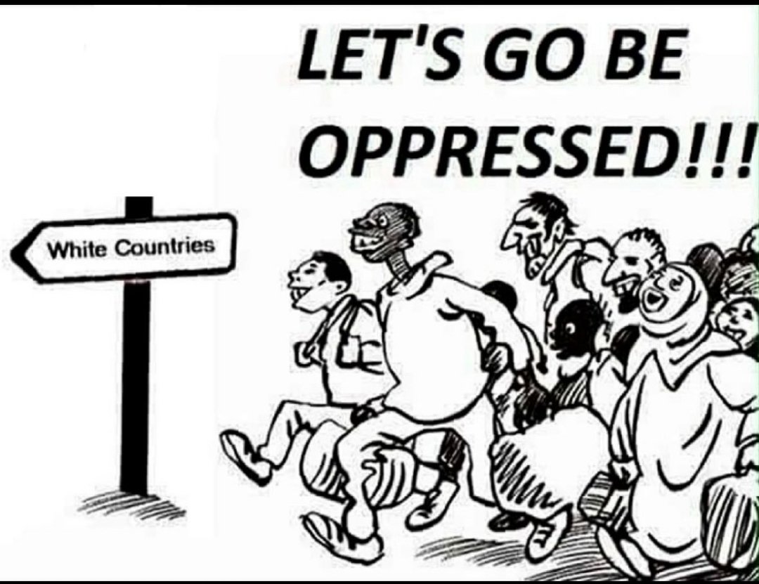 Solice 🇫🇷 tweet media