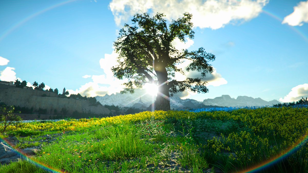 PLAION Americas😎 tweet media