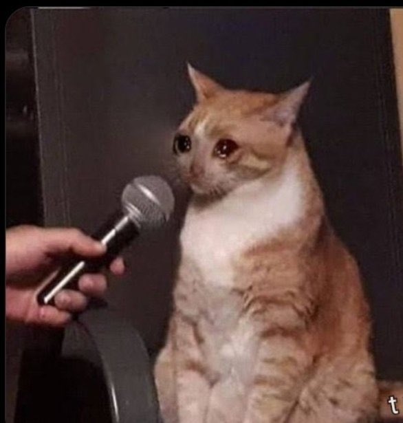 solocutex tweet media