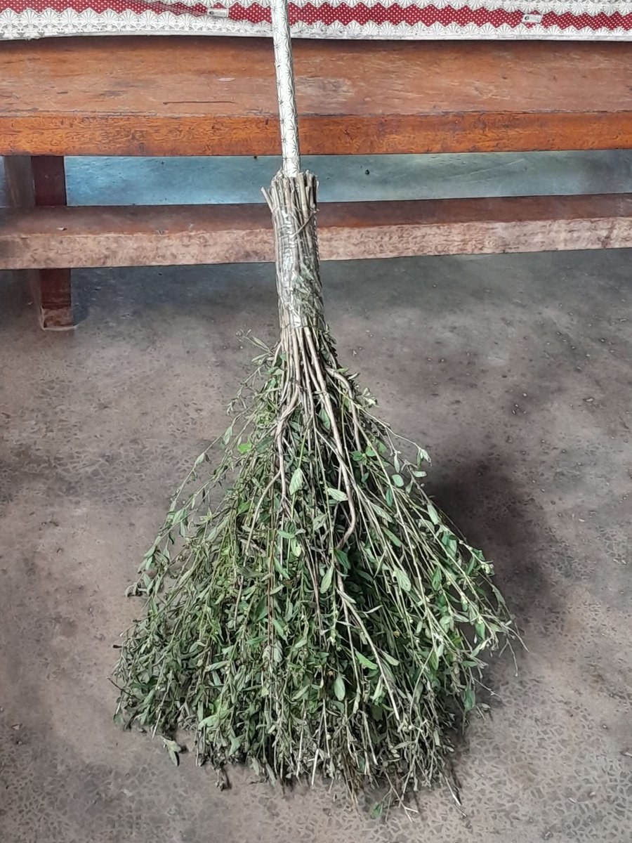 Eagle🦅 tweet media