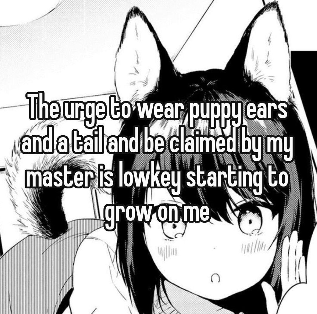 🏳️‍🌈Blowback But Possum🔞 tweet media