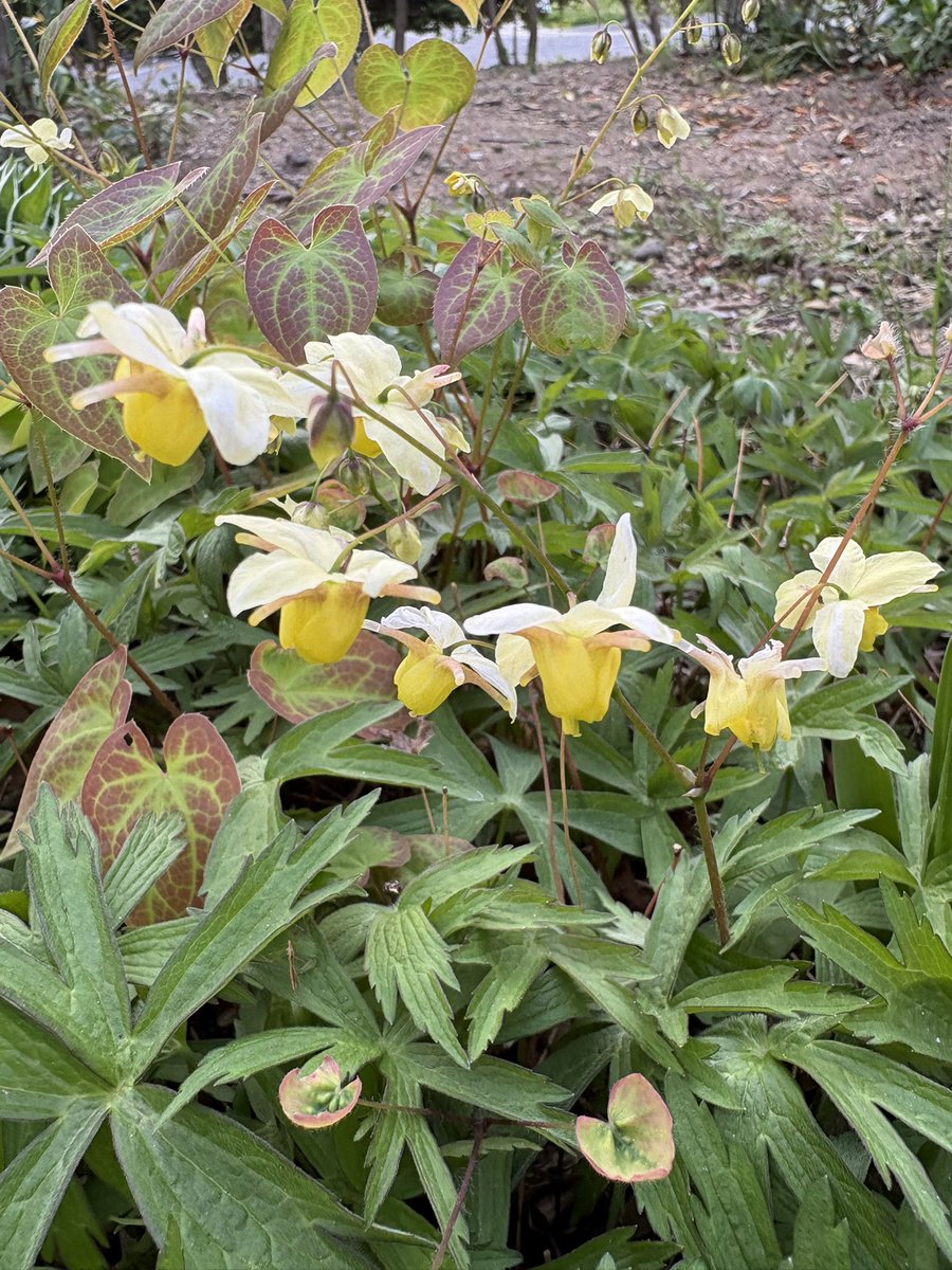 おはようございます♪