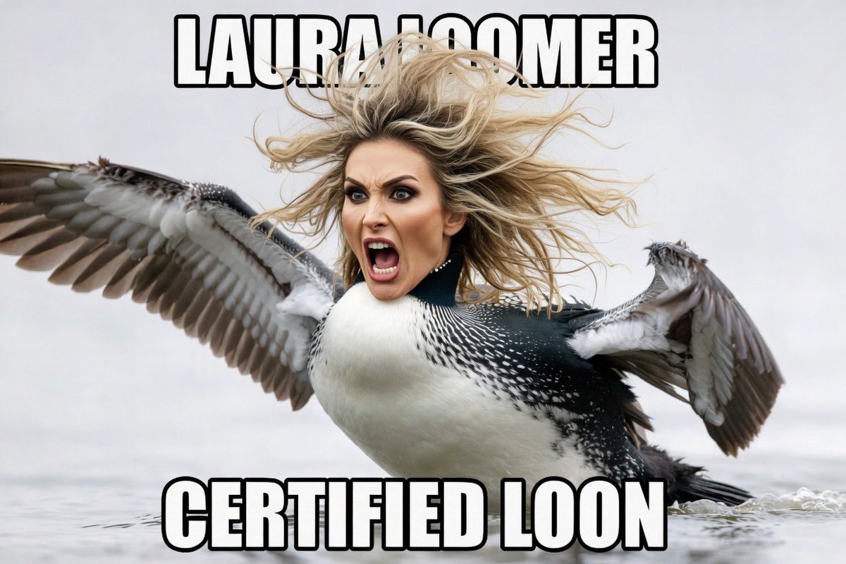 InTheStorm2A tweet media