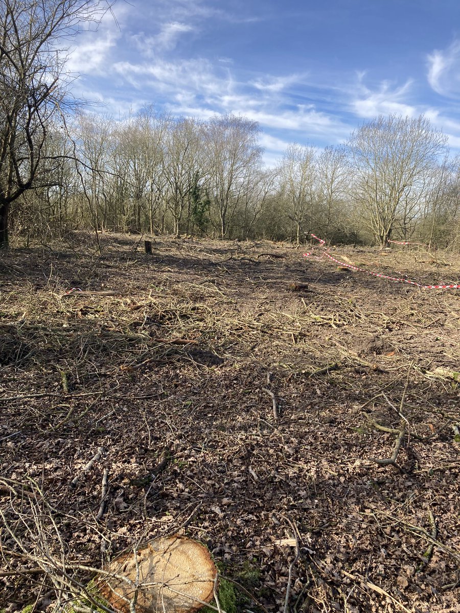 JaneBraybrook2 tweet media