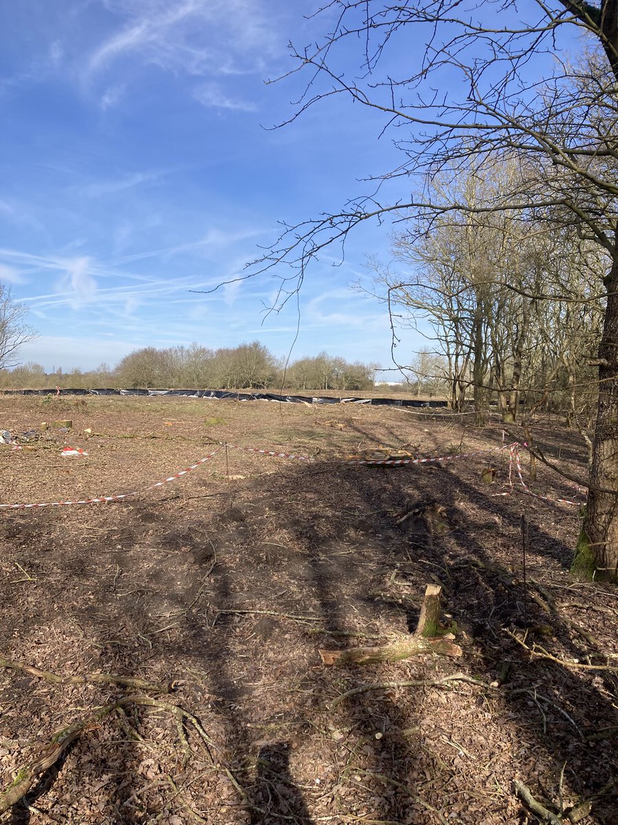 JaneBraybrook2 tweet media