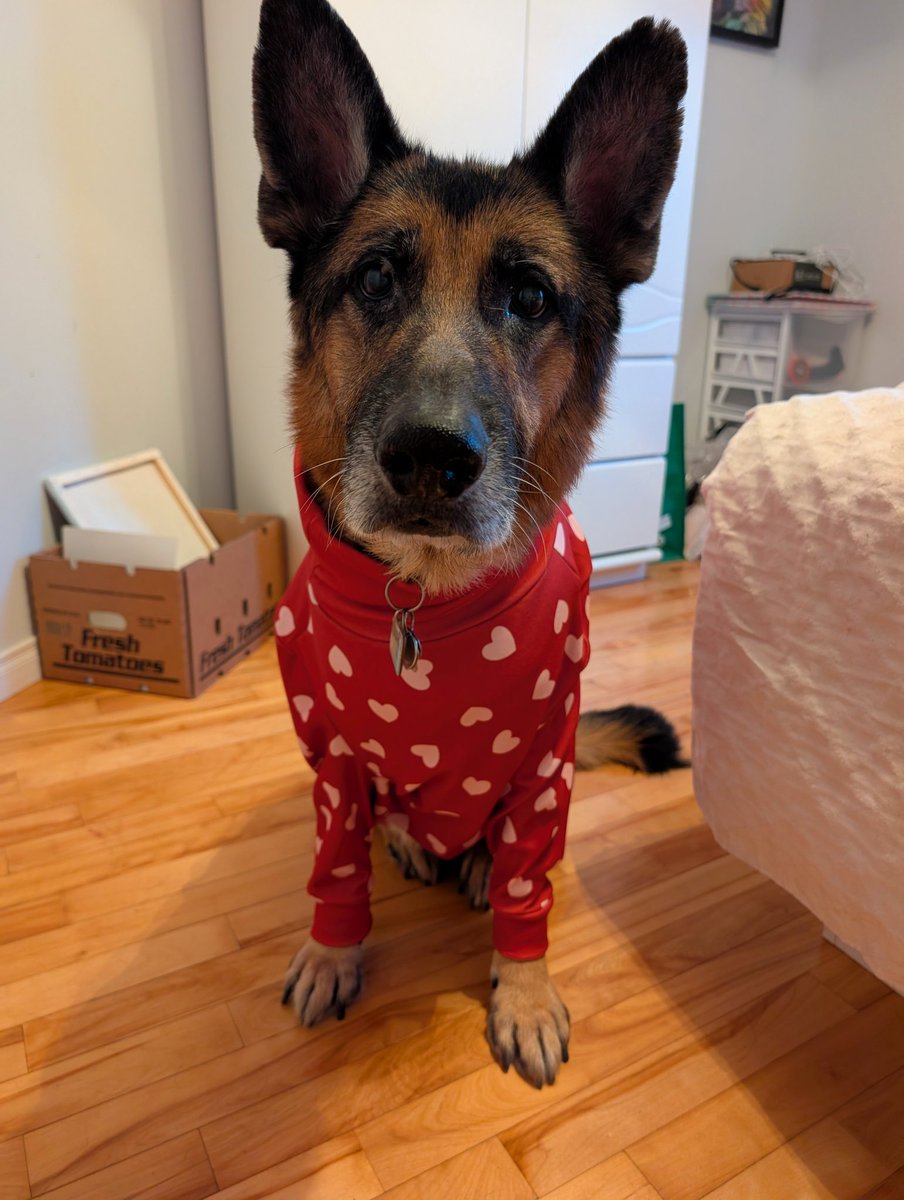 amedoyon's tweet photo. @OKWildlifeDept How about a Dogs in Pj's day? https://t.co/t0q1dUPnV3