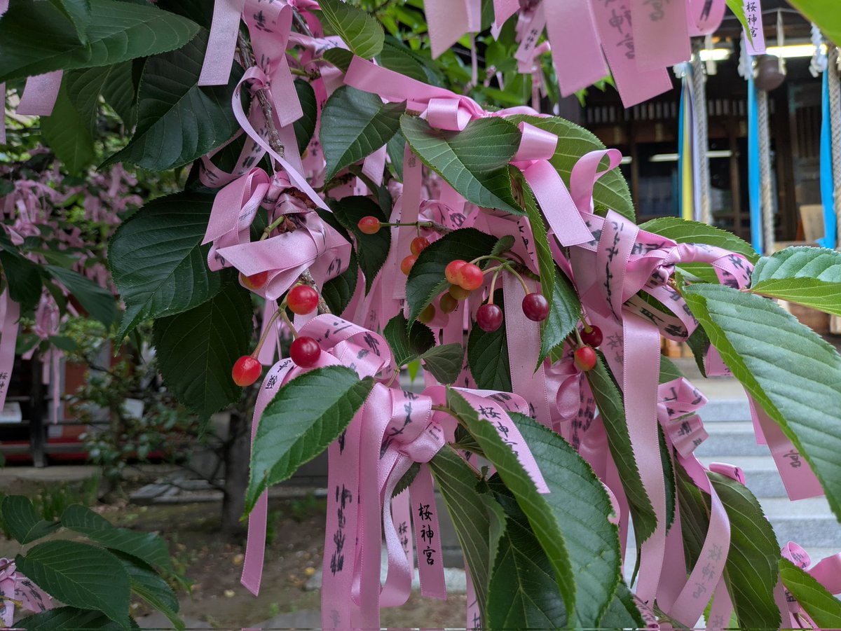 ki_kira_kira's tweet image. おはようございます!!
今朝の都内のいま空は
曇り空の朝。

都内の天気予報は、
☁くもりのち☔雨、
日中の予想最高気温は19℃位になりそうです。
⁡
本日も心穏やかに
体調管理に気をつけて
頑張りましょう。
#tokyo 
#桜神宮 
#おはよう 
#いま空