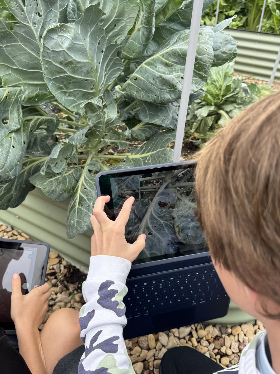 mcdonaldinstem's tweet image. 🌍 Earth Day + #Keynote + @Seesaw = Magic!

Our K-4 @MSTMAGNET students went on a scavenger hunt to explore our planet.
📸 Interactive Frames 
🖊️ Markup &amp;amp; Annotation 
🎙️ Audio Recording

Multimodal learning at its finest! 🙌
#AppleEducationCommunity #RISDBeTheONE