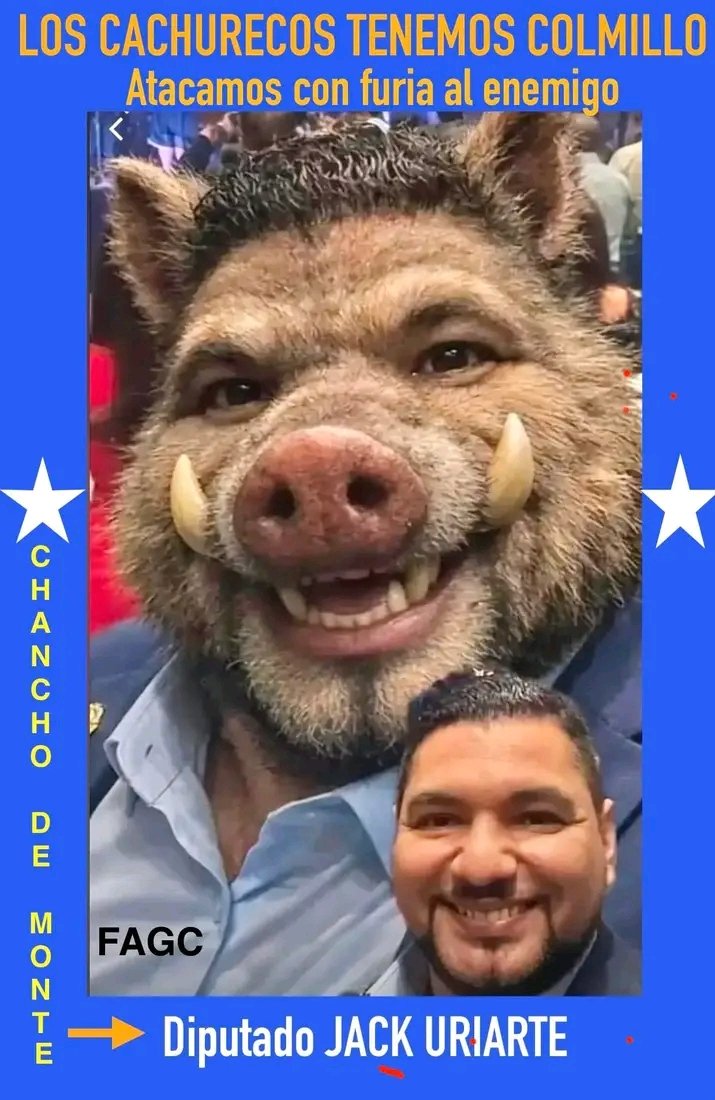 santinis4's tweet photo. @JackUriarte5 es lindo ser ñangara la diferencia es que para ser ñangara hay que leer y pensar mucho y para ser narcocachureco solo es estar orgulloso de tu propia ignorancia así como la tuya chancho de monte https://t.co/DosNWqvxw7