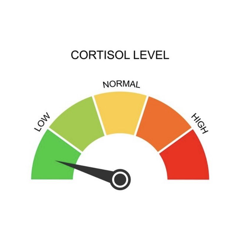 i eat cement tweet media