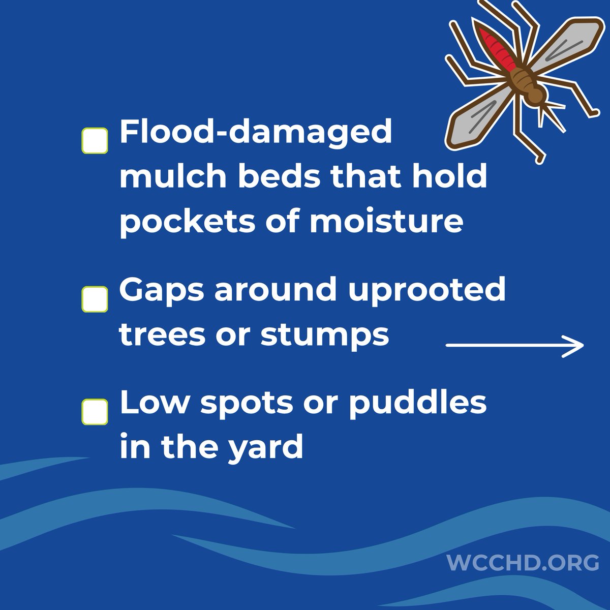 WCCHealth District tweet media