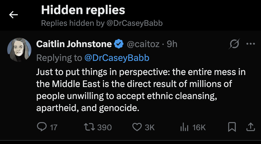 Caitlin Johnstone tweet media