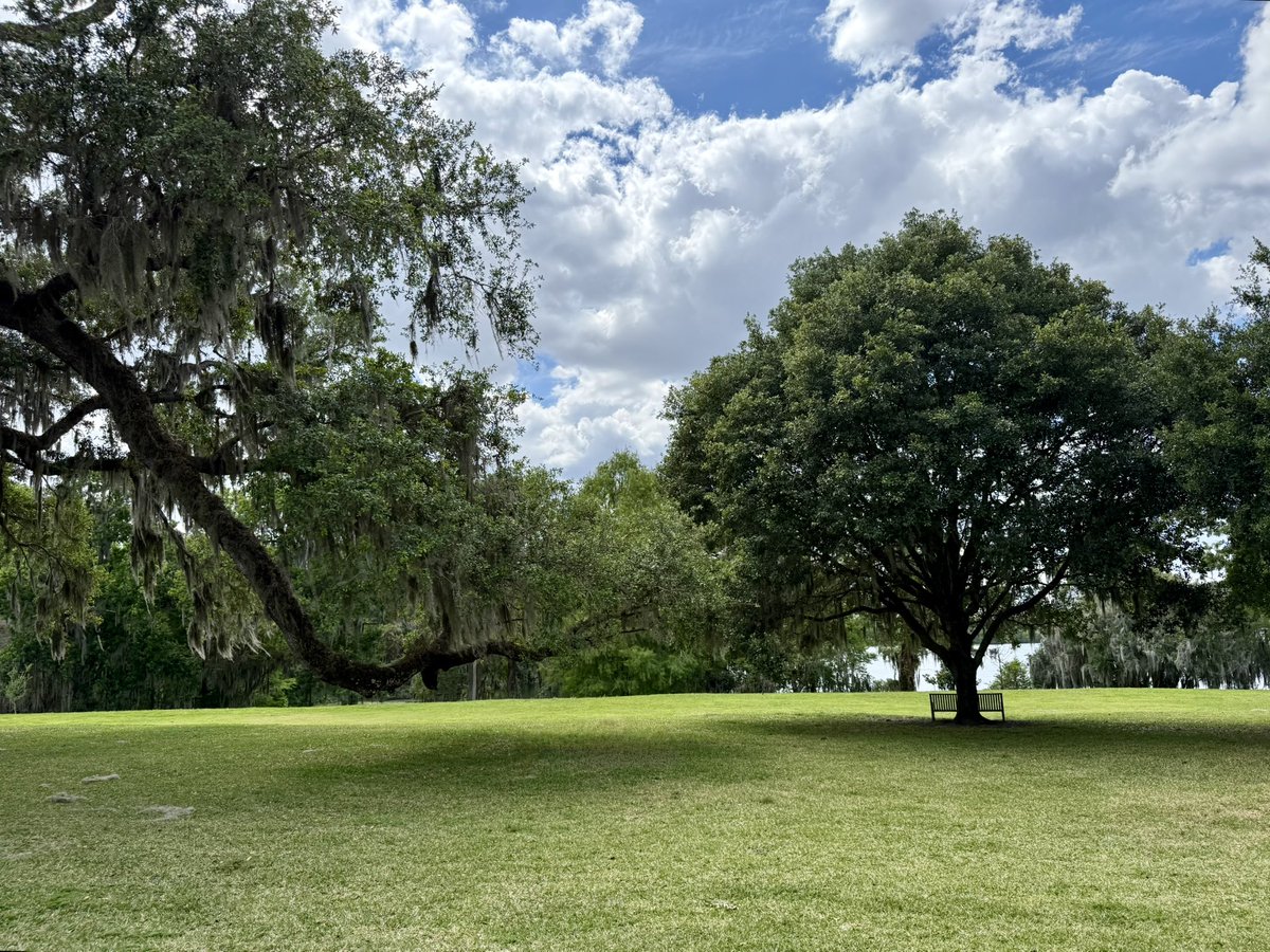 jefreeb's tweet photo. It’s a beautiful day this #EarthDay 🌎🌳 https://t.co/21O6DFPh7C