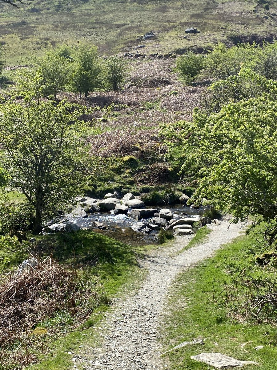 PCarrington01's tweet photo. A walk around Rhaeadr #Aber Falls earlier today. https://t.co/jLVokeEJ9g
