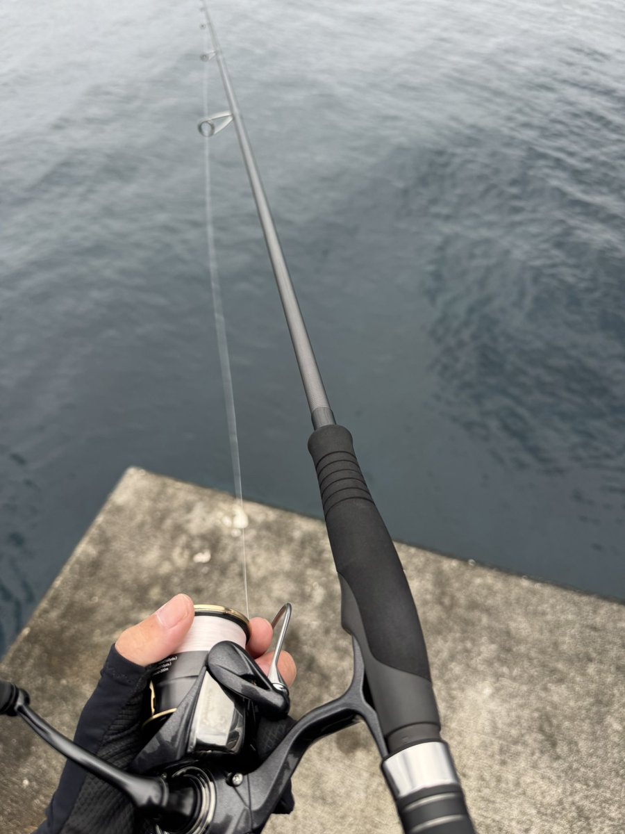 えびこ (@NALUSanglers) / Posts / X