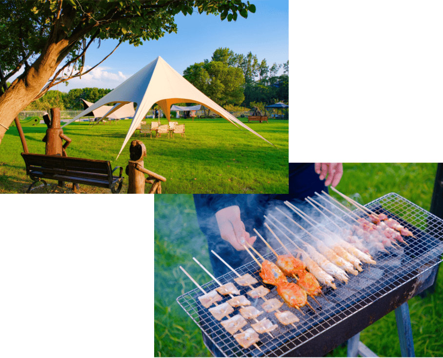 rusu matei tweet media