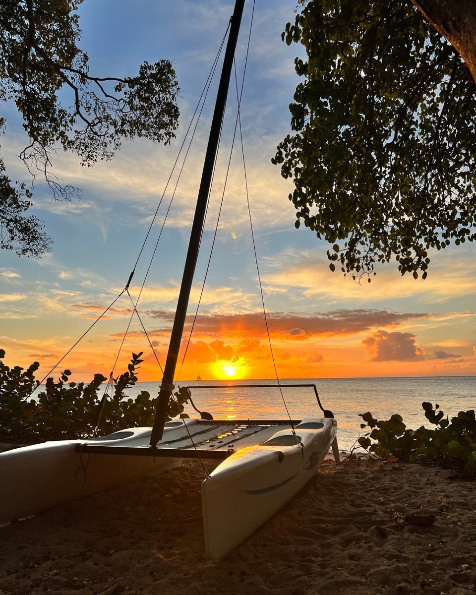 Barbados's tweet image. Golden hour hits different on the West Coast. 🌅

Where the sea slows down, and the sky puts on a show, this is your sign to unwind in Barbados.🇧🇧

📍: Batts Rock Beach

#MyBarbados #LoveBarbados #VisitBarbados