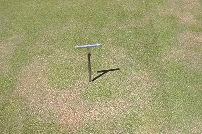 GCM_Magazine's tweet image. Curious about wetting agents? Learn how they work, and why it matters to choose the right one for your needs, from @SimplotTurf: bit.ly/42n6uOW #sponsored