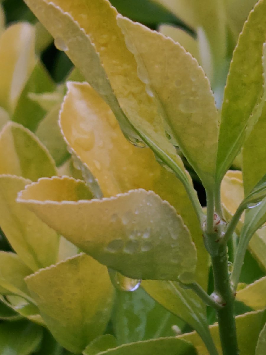 ryou1115 tweet media